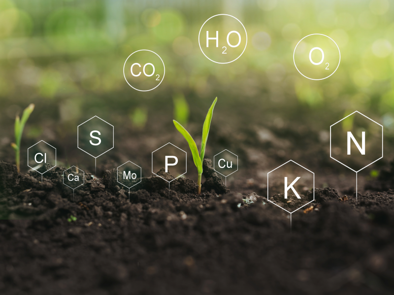 Nutrients in Fertilisers